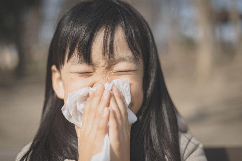 梅雨季過敏怎麼辦？黴菌、塵蟎大爆發！室內空氣防護指南